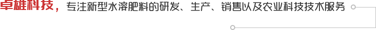 卓雄科技4大优势